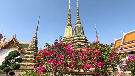 vibrant flowers surround wat pho's iconic spires