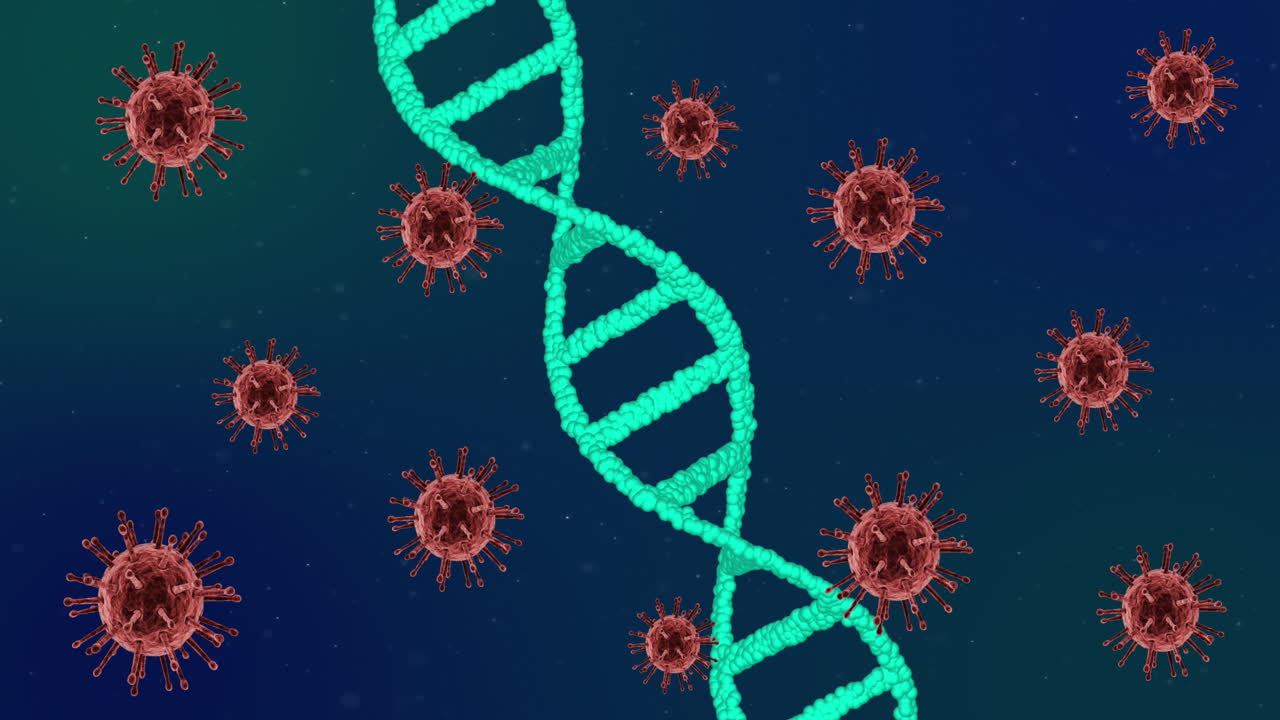 Animation of covid 19 cells moving and dna strand spinning