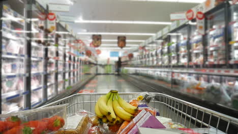 pushing a shopping trolly around a groceries supermarket store in a mall