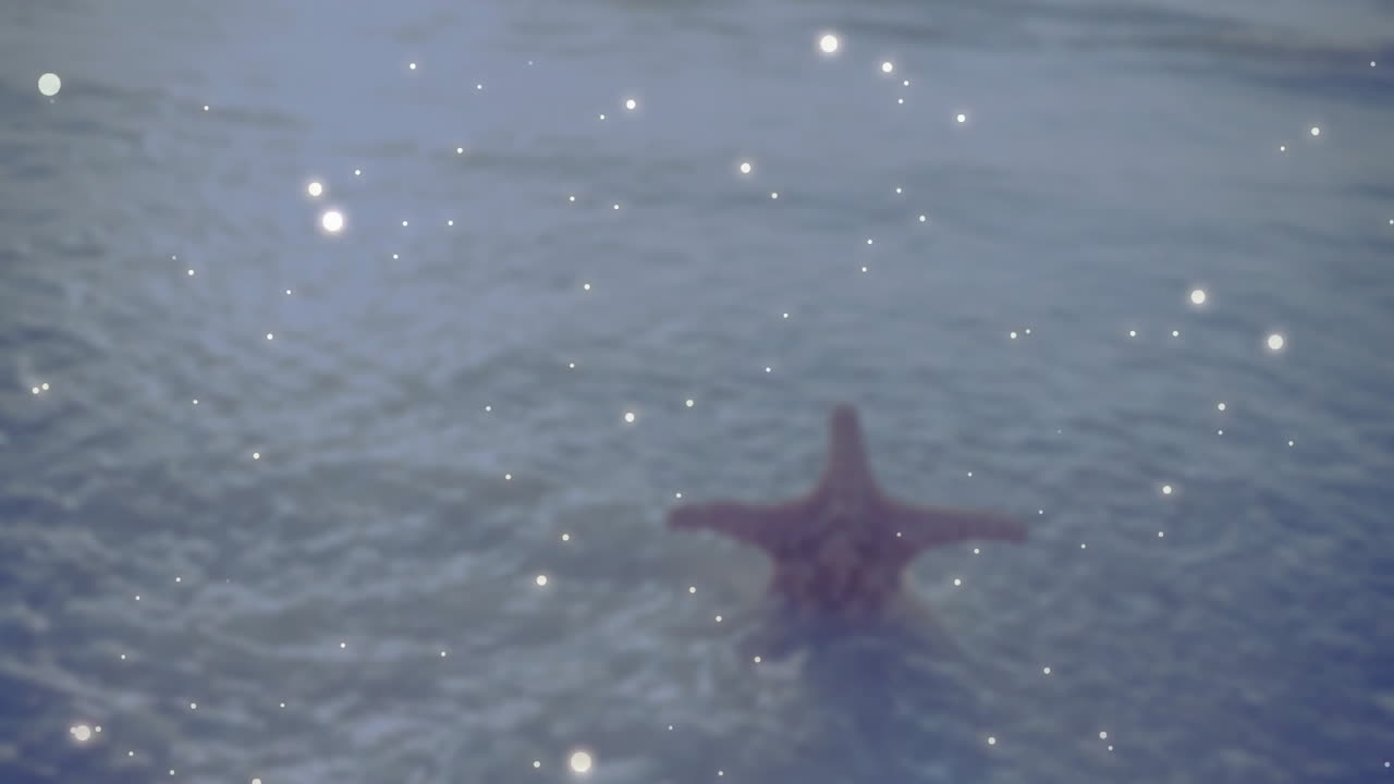 Starfish in ocean water with sparkling light animation over scene