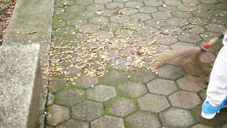 cleaning the fallen leaves in the park