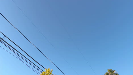 Tilt-up-to-the-sky-with-an-orange-tree