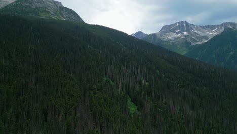 tilting drone down onto mountain forest