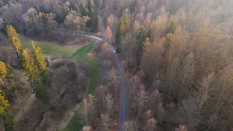 a single car traveling along a remote forest highway at sunset