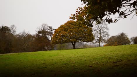 Field views in the afternoon light