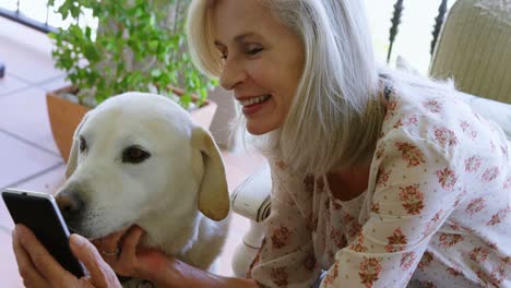 Senior-woman-taking-selfie-with-dog-in-porch-4k