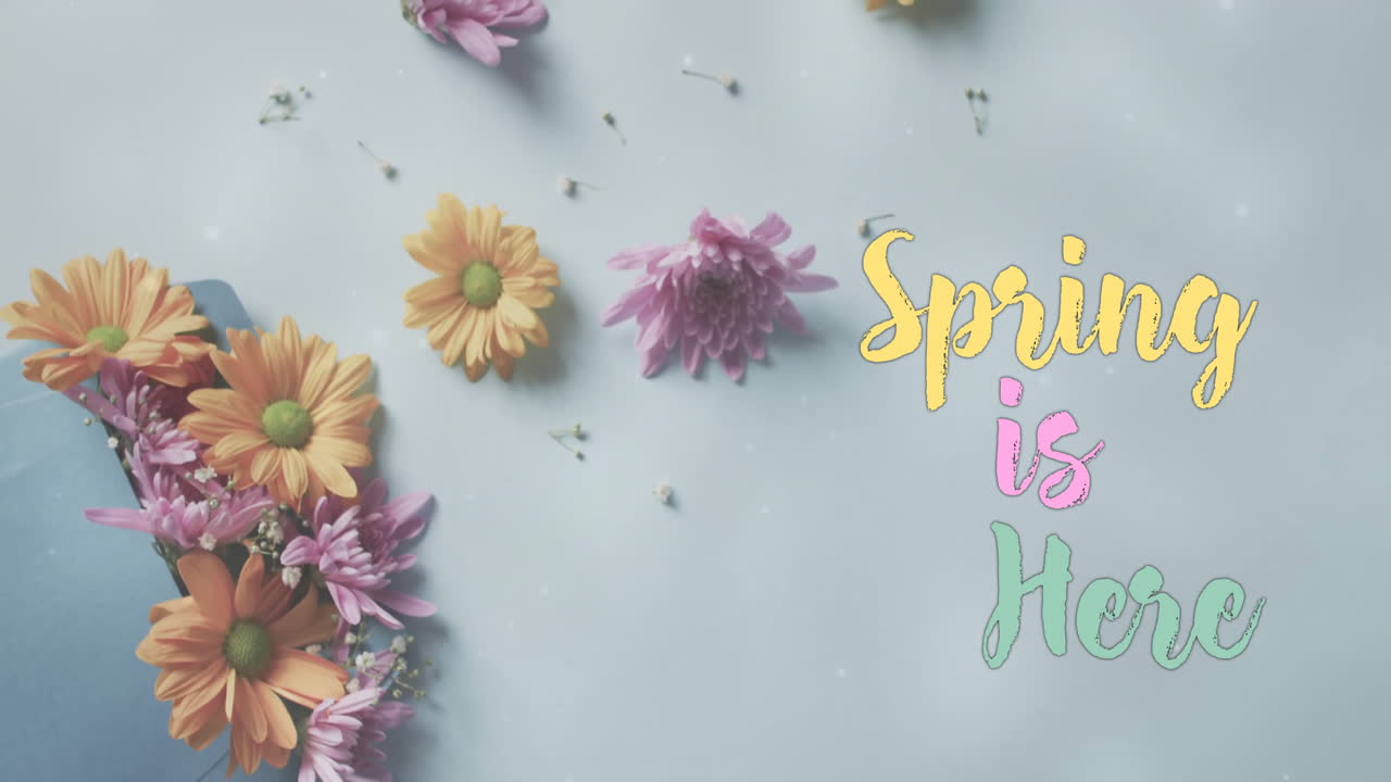 Animation of spring is here text and stars over bunch of flowers