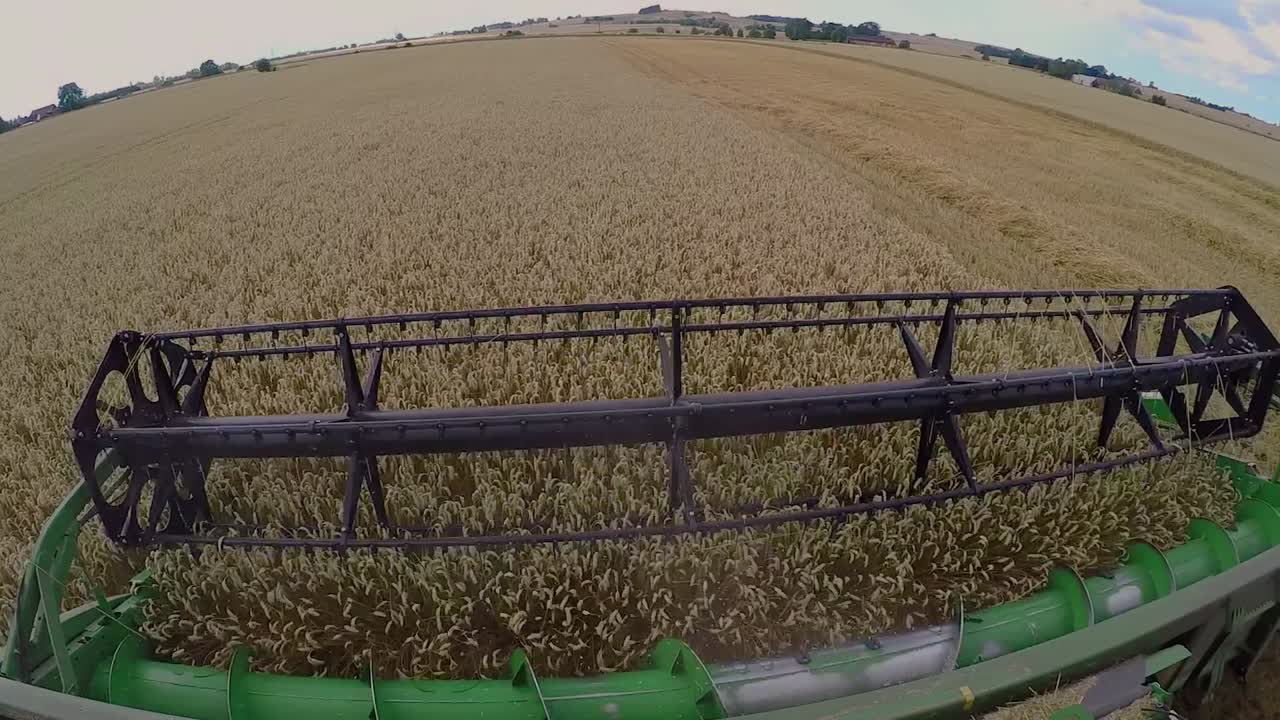 a combine harvester harvesting wheat. wide angle video of the screw turbine that takes in the wheat into the harvester