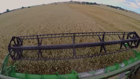 a combine harvester harvesting wheat. wide angle video of the screw turbine that takes in the wheat into the harvester