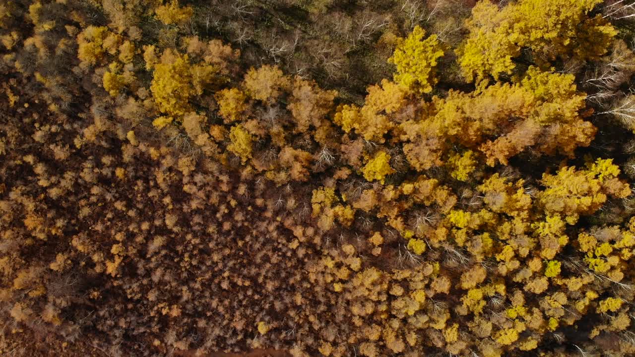 느린 공중 오버헤드는 강이 있는 가을 색깔의 나무 위로 공중을 전달합니다.