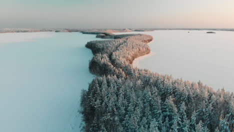 aerial, reverse, drone shot, panning above a cape, full of snowy trees and spruce forest, at sunset, surrounded by frozen lake saimaa, on a sunny, winter evening, in vuoniemi, north karelia, finland