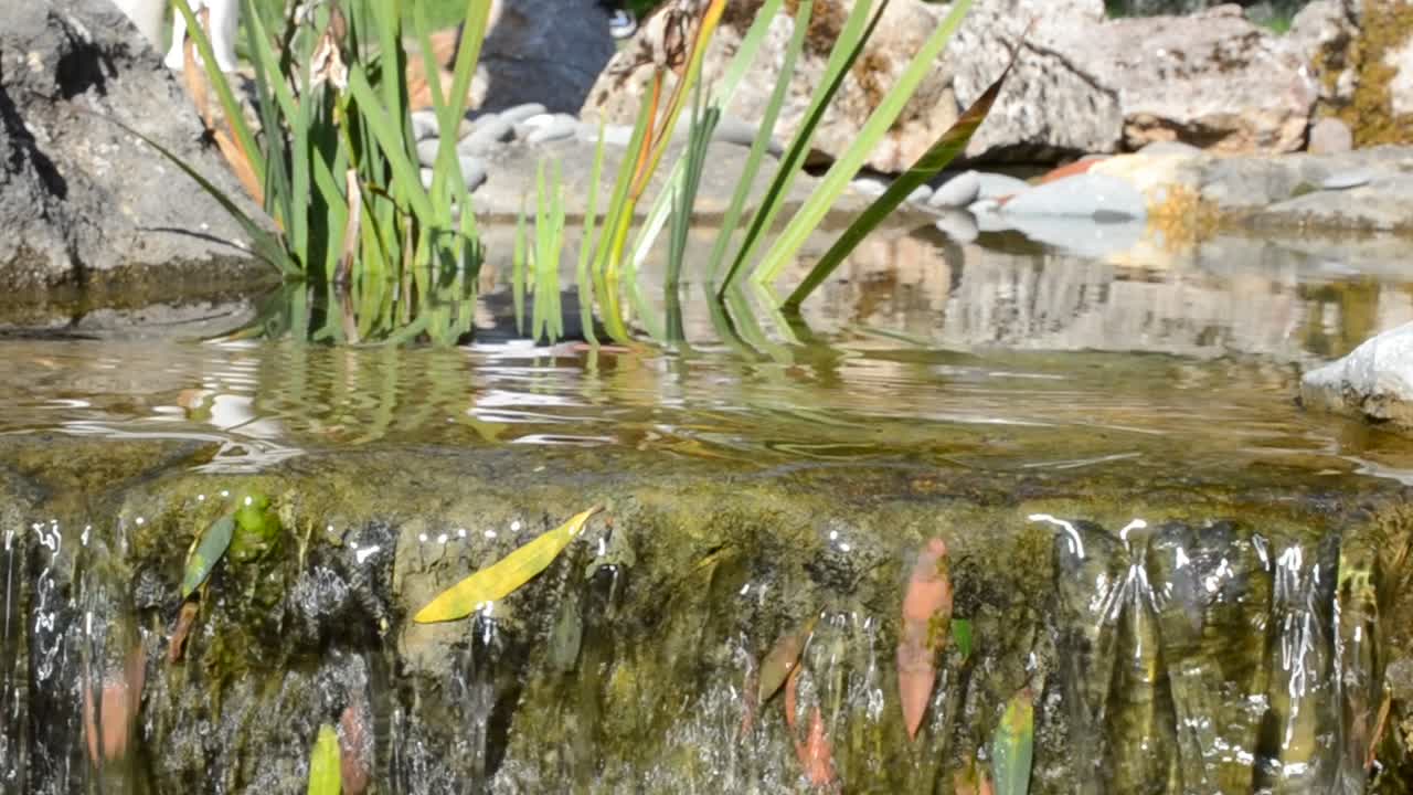 Las cataratas
