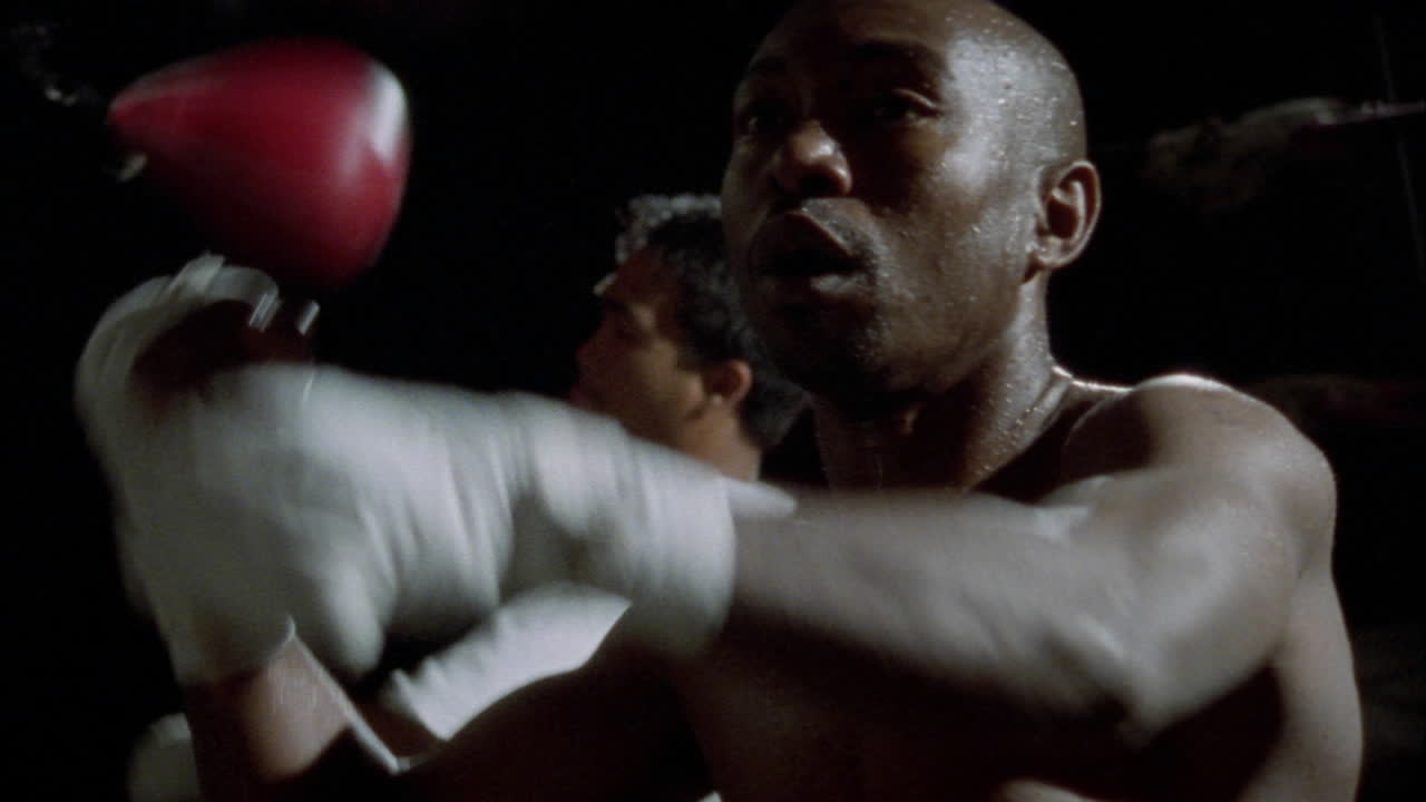 un par de boxeadores practican puñetazos en bolsas de velocidad