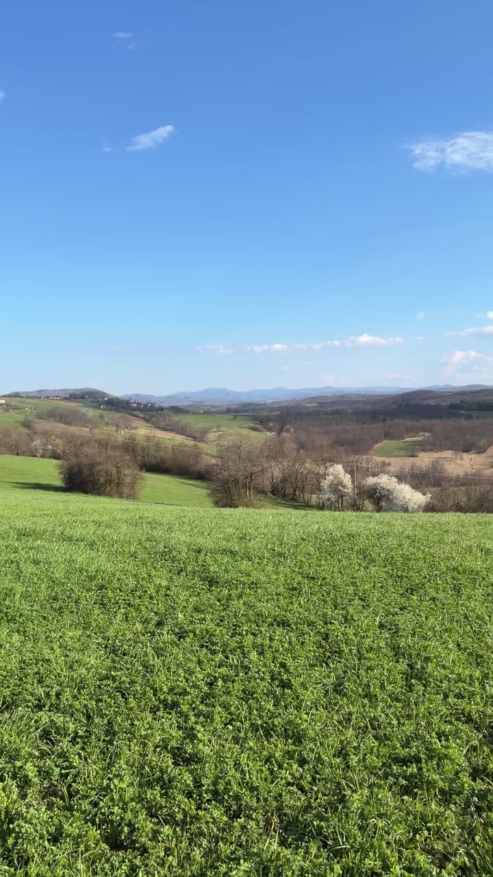 Vista amplia de un campo de hierba verde que se extiende por colinas onduladas del campo bajo un cielo azul claro, con árboles dispersos y un paisaje rural abierto a la luz del día