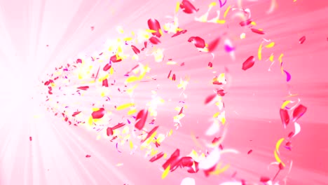 colorful petals. spiral shiny petals of blossoms. flower pattern. pretty dancing petal. vortex from spin petals. abstract loop animation.