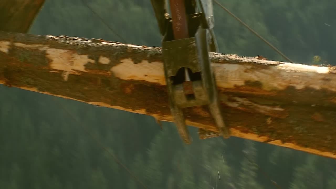 트럭에 통나무를 싣고