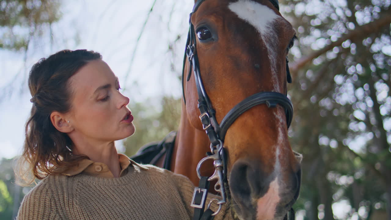 Tender lady petting equine in green park closeup. Happy animal enjoying touch