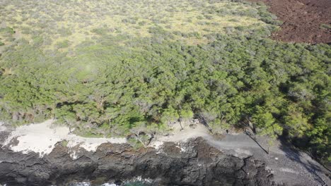 Aerial-view-of-the-rocky-Hawaiian-coastline-with-turquoise-waters-and-lush-green-forest-meeting-the-shore