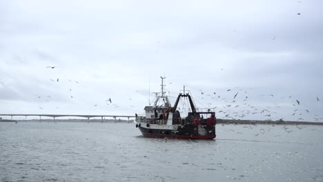 Cámara-Lenta-De-Un-Barco-De-Pesca-Rodeado-De-Gaviotas-Que-Llegan-Al-Puerto-En-Un-Día-De-Invierno-Gris