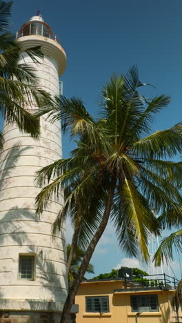 lighthouse in tropical setting