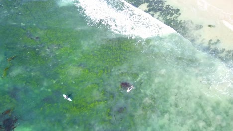 4K-Panning-Aerial-View-of-Laguna-Beach-in-Laguna,-California-with-Surfers-Riding-Waves-on-a-Warm,-Sunny-Day-over-the-Pacific-Ocean