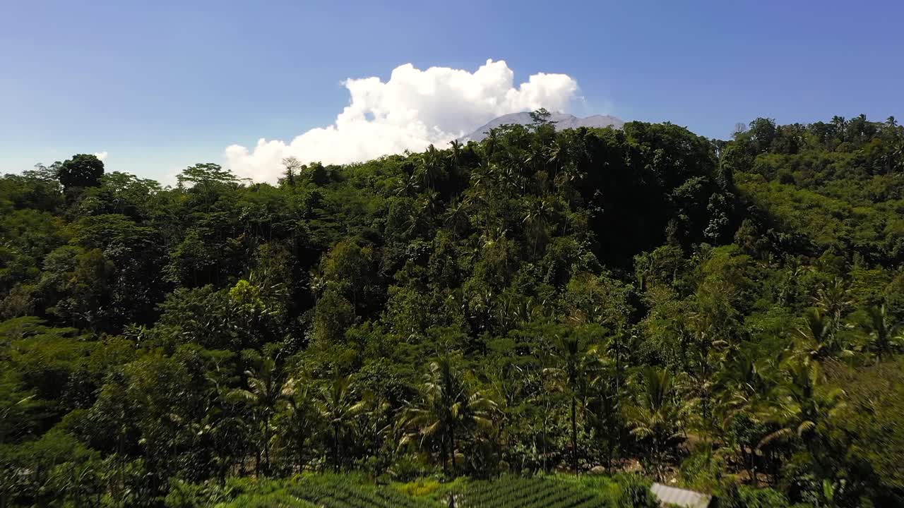 Flying over a farm by the beautiful lush, green forest of Mount Agung, Bali, Indonesia with the mountain being kissed by the clouds in the distance - Aerial shot