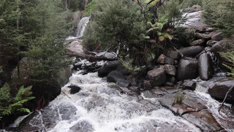 a wide shot of the murrindindi falls in victoria australia