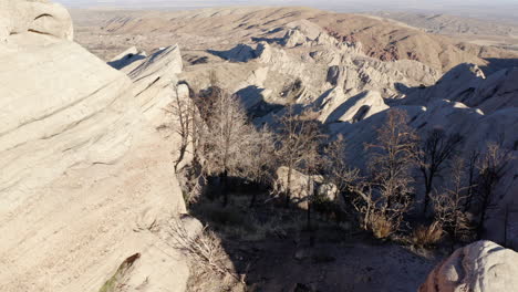 desert landscape with unique rock formations and sparse vegetation