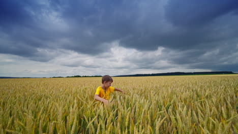 little boy among agricultural land. happy boy spinning around and hiding in farmland. cute child on yellow field under clouded sky.