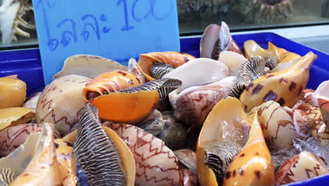 Cerca-De-Una-Caja-De-Caracoles-Marinos-Vivos-A-La-Venta-En-El-Mercado-De-Mariscos-Tailandés