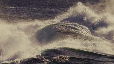 powerful wave lifts high, white crest bursting upward in dramatic backlight and mist