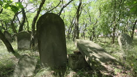 Beautifully-carved-Jewish-Gravestones-with-Hebrew-inscriptions-in-the-Jewish-Cemetery-in-Zdunska-Wola-Poland