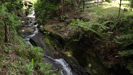 Waterfall-Cascading-Down-A-Series-Of-Rock-Steps-In-Parque-das-Frechas,-Portugal---wide