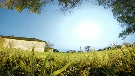 NIGHT-LAPSE---In-the-grass-looking-up-at-the-moon-and-clouds-in-the-night-sky-in-a-field-next-to-a-abandoned-building