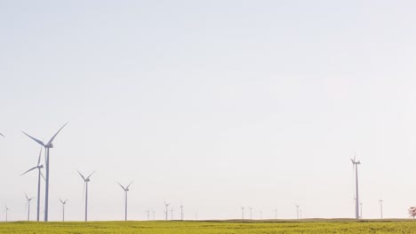 Gesamtansicht-Von-Windkraftanlagen-In-Ländlicher-Landschaft-Mit-Wolkenlosem-Himmel