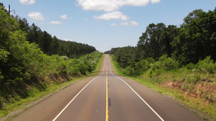 A beautiful road in Argentina surrounded by native woodlands and pine plantations, showcasing the picturesque blend of natural beauty and forestry