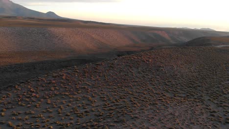Atacama-Desert-hills-and-vegetation-at-sunset