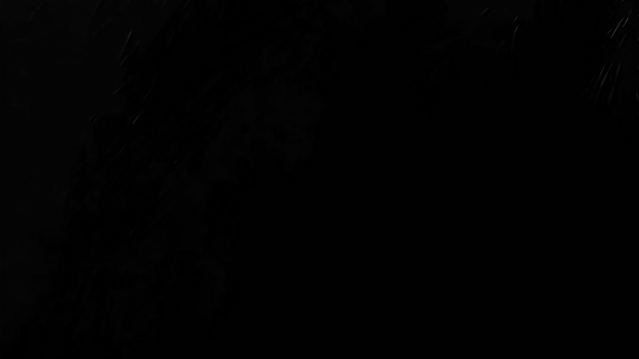 Tropical leaves shadow animated overlay, transparent 4K video, alpha channel, ProRes 4444