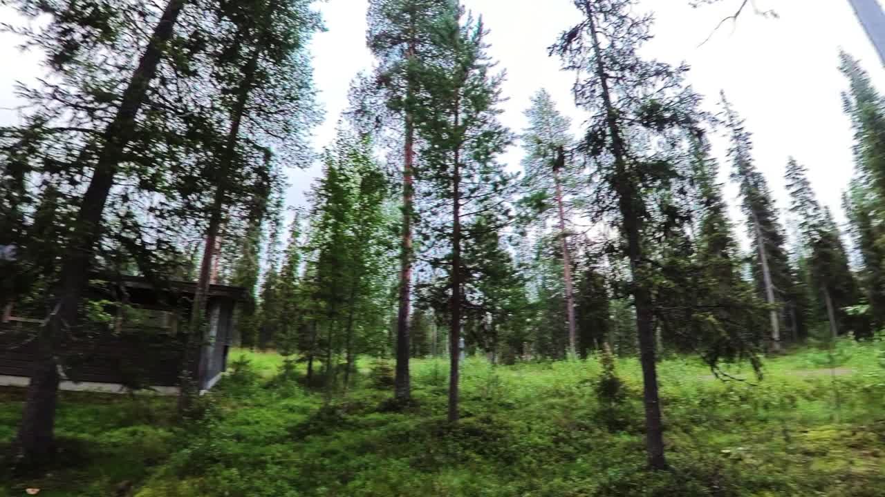 pan right timelapse вид на бревенчатый домик в густом лесу в швеции