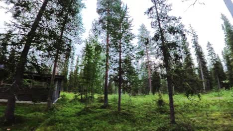 Panorámica-Derecha-Timelapse-Vista-A-Través-De-La-Cabaña-De-Troncos-En-Un-Denso-Bosque-Arbolado-En-Suecia