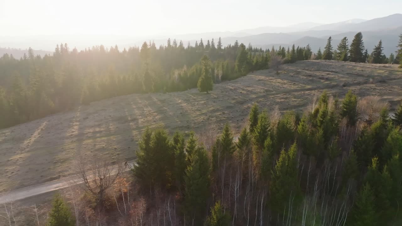 la luz del sol proyecta largas sombras en un camino del bosque con un fondo de montaña sereno en la hora dorada