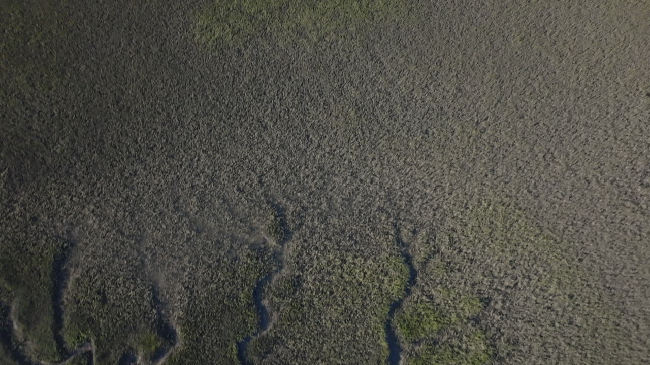 Aerial View of Wetlands and River