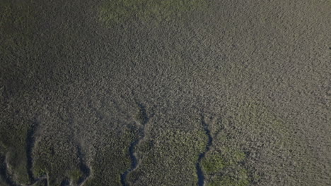 aerial view of wetlands and river