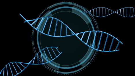 dna strands and circular digital interface, scientific data processing animation