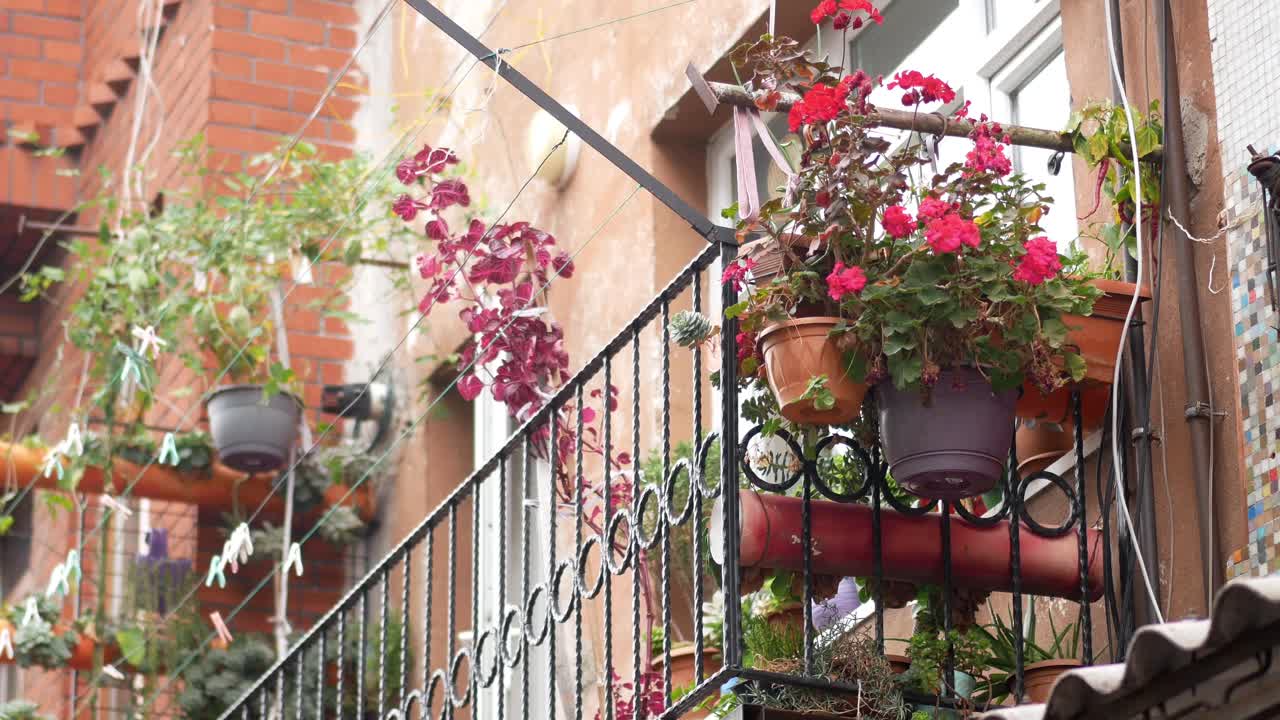 flores en los balcones de una ciudad