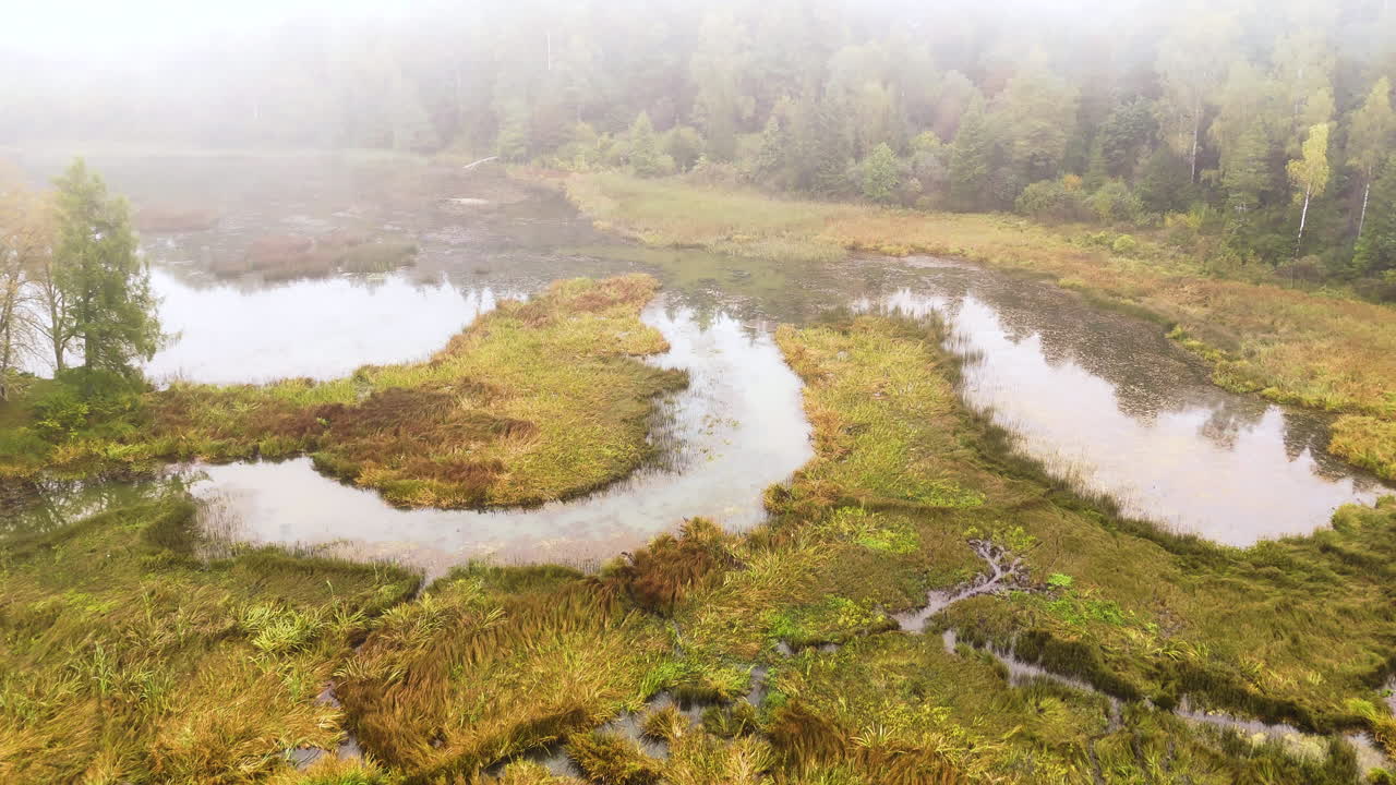 Area of swampy marshes and covered with mist in Kazdanga, Latvia, aerial