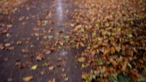 Fast-movement-on-a-woods-path-in-a-green-forest-with-fallen-autumn-brown-leaves-on-the-ground