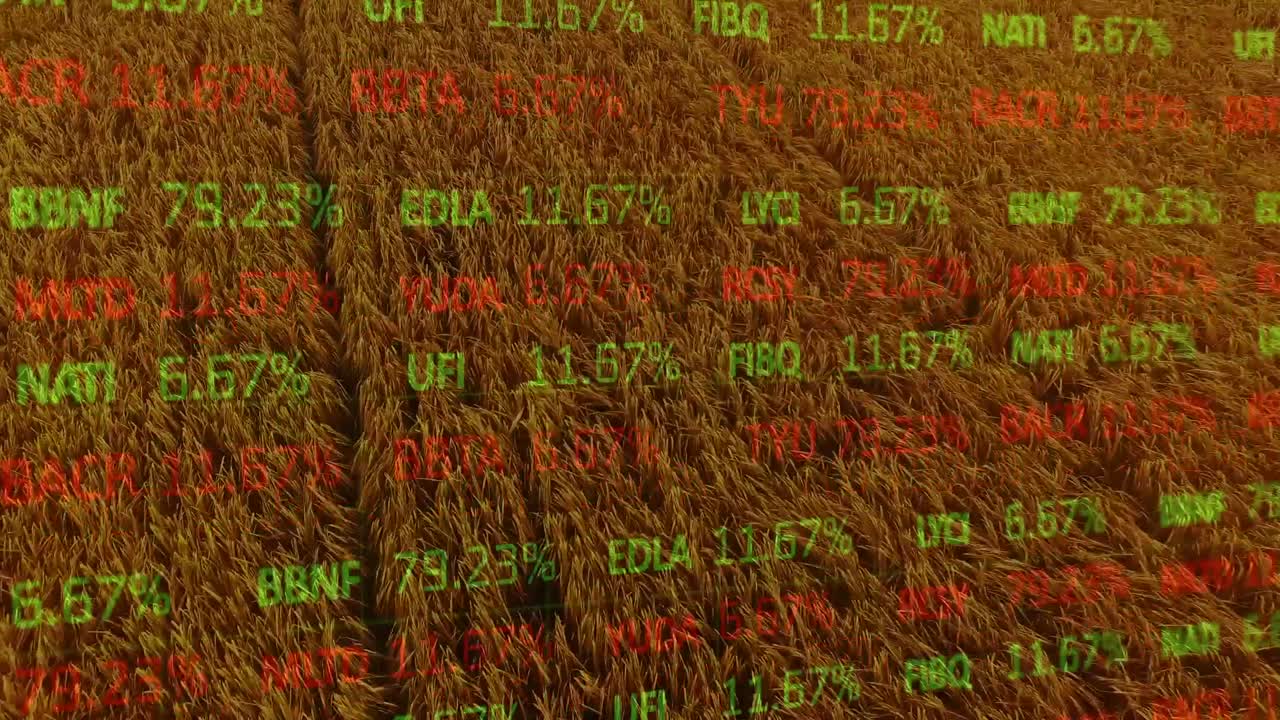 Animation af behandling af finansielle data over et landbrugsområde