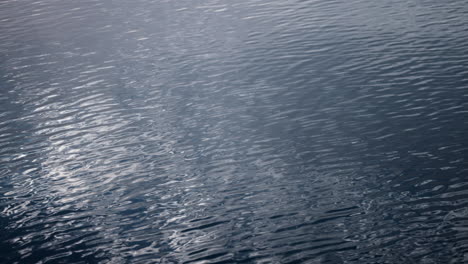 waves calmly moving in the lake