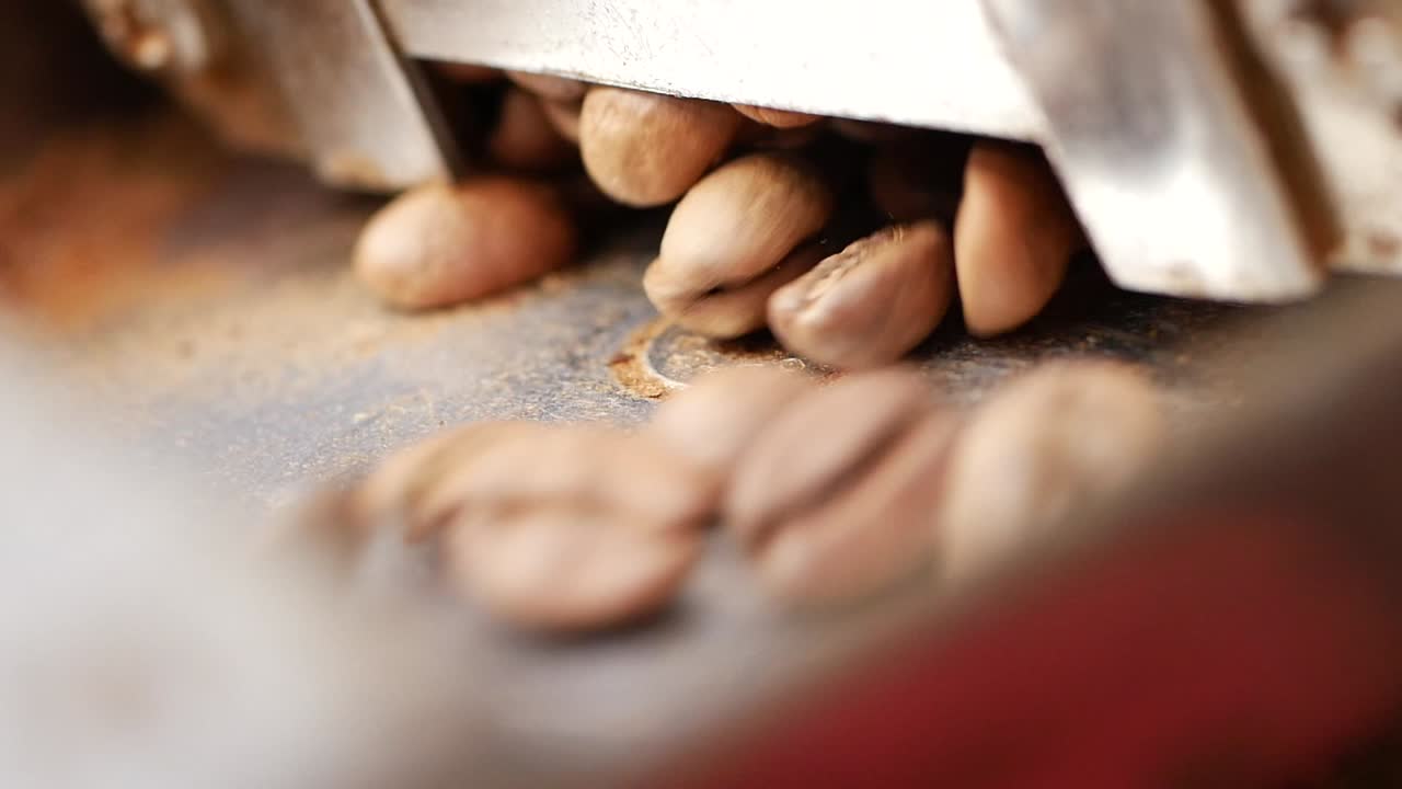 Coffee Beans Processing